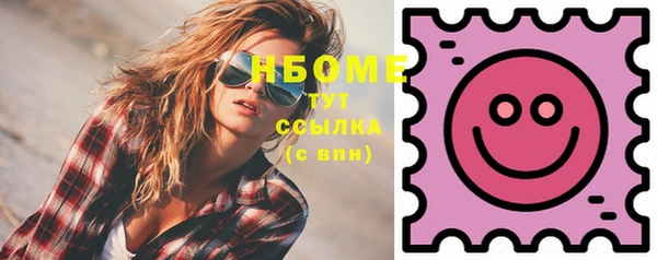 СК Новозыбков