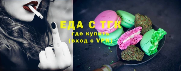 СК Новозыбков