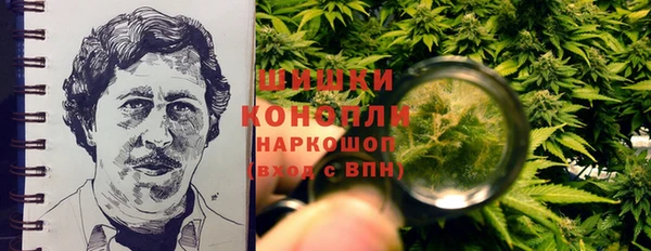 СК Новозыбков