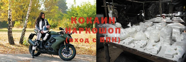 спайс Новодвинск
