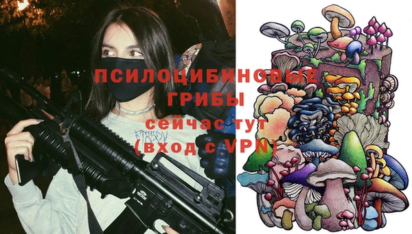 трава Новокубанск