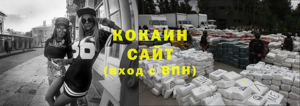 СК Новозыбков