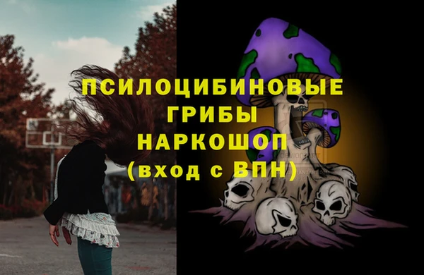 СК Новозыбков