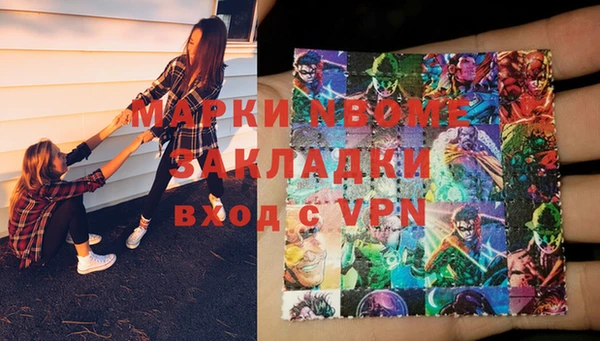 СК Новозыбков