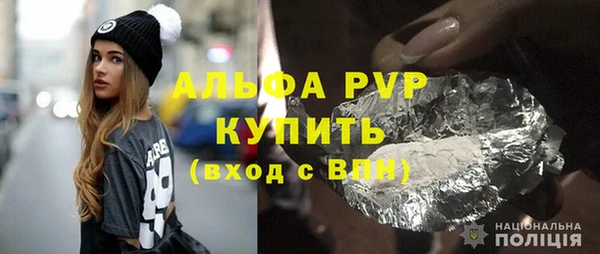 СК Новозыбков