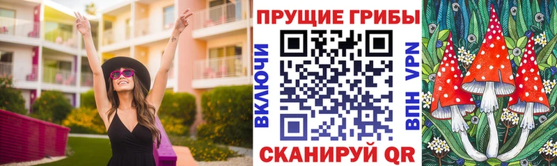Псилоцибиновые грибы Psilocybe  Черноголовка 